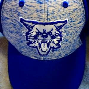 UofK wildcat hat